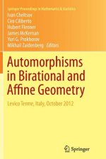 Automorphisms in Birational and Affine Geometry