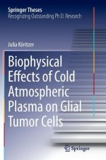 Biophysical Effects of Cold Atmospheric Plasma on Glial Tumor Cells