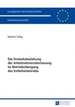Die Dreiecksbeziehung Der Arbeitnehmerueberlassung Im Betriebsuebergang Des Entleiherbetriebs