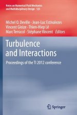 Turbulence and Interactions