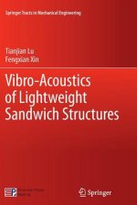 Vibro-Acoustics of Lightweight Sandwich Structures