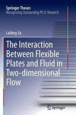 Interaction Between Flexible Plates and Fluid in Two-dimensional Flow