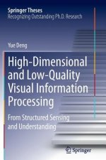 High-Dimensional and Low-Quality Visual Information Processing