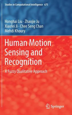 Human Motion Sensing and Recognition