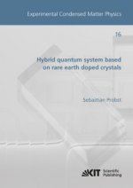 Hybrid quantum system based on rare earth doped crystals