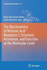 Biochemistry of Retinoic Acid Receptors I: Structure, Activation, and Function at the Molecular Level