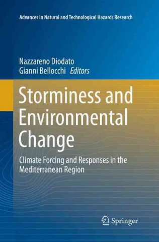 Storminess and Environmental Change