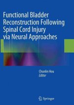 Functional Bladder Reconstruction Following Spinal Cord Injury via Neural Approaches