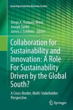 Collaboration for Sustainability and Innovation: A Role For Sustainability Driven by the Global South?