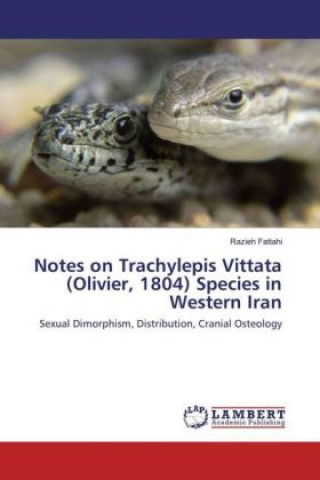 Notes on Trachylepis Vittata (Olivier, 1804) Species in Western Iran