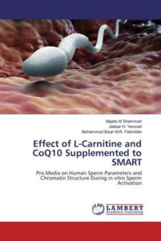 Effect of L-Carnitine and CoQ10 Supplemented to SMART