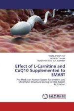 Effect of L-Carnitine and CoQ10 Supplemented to SMART