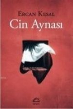 Cin Aynasi
