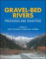 Gravel-Bed Rivers - Processes and Disasters