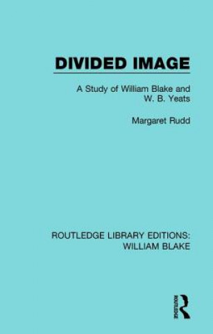 Divided Image