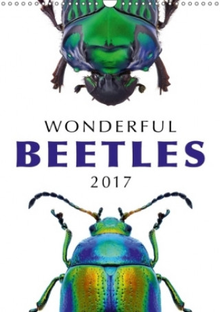 Wonderful Beetles 2017