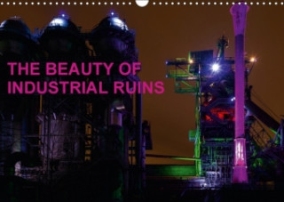 Beauty of Industrial Ruins 2017