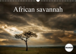 African Savanna 2017