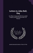 LETTERS TO JOHN BULL, ESQ: ON AFFAIRS CO