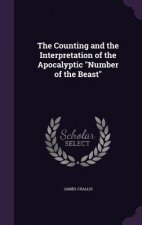 THE COUNTING AND THE INTERPRETATION OF T
