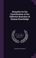 REMARKS ON THE CLASSIFICATION OF THE DIF