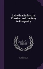 Individual Industrial Freedom and the Way to Prosperity