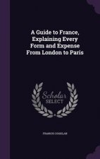 Guide to France, Explaining Every Form and Expense from London to Paris