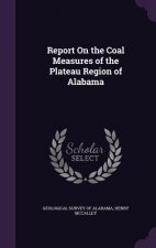 Report on the Coal Measures of the Plateau Region of Alabama