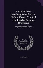 Preliminary Working Plan for the Public Forest Tract of the Insular Lumber Company