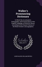 WALKER'S PRONOUNCING DICTIONARY: IN WHIC