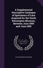 Supplemental Descriptive Catalogue of Specimens of Lace Acquired for the South Kensington Museum, Between June 1890 and June 1895