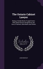 Ontario Cabinet Lawyer