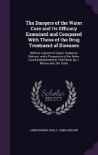Dangers of the Water Cure and Its Efficacy Examined and Compared with Those of the Drug Treatment of Diseases
