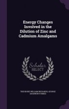 Energy Changes Involved in the Dilution of Zinc and Cadmium Amalgams