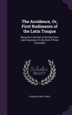 Accidence, Or, First Rudiments of the Latin Tongue