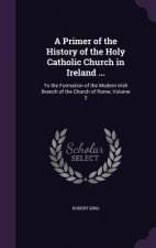 Primer of the History of the Holy Catholic Church in Ireland ...