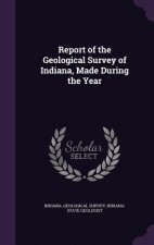 REPORT OF THE GEOLOGICAL SURVEY OF INDIA