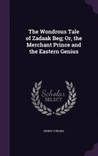 Wondrous Tale of Zadaak Beg; Or, the Merchant Prince and the Eastern Genius