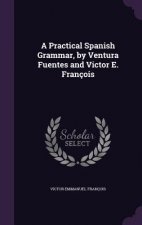 Practical Spanish Grammar, by Ventura Fuentes and Victor E. Francois