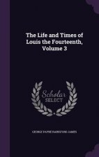 THE LIFE AND TIMES OF LOUIS THE FOURTEEN