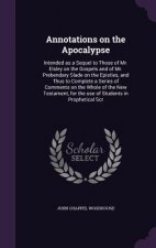 Annotations on the Apocalypse