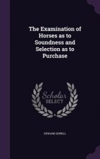 THE EXAMINATION OF HORSES AS TO SOUNDNES