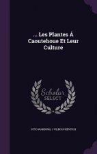 ... Les Plantes a Caoutehoue Et Leur Culture