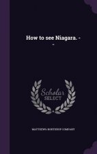 HOW TO SEE NIAGARA. --