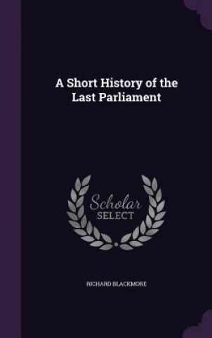 A SHORT HISTORY OF THE LAST PARLIAMENT