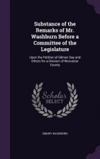 Substance of the Remarks of Mr. Washburn Before a Committee of the Legislature