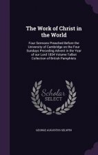 Work of Christ in the World