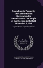 AMENDMENTS PASSED BY THE CONSTITUTIONAL