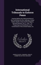 International Tribunals to Enforce Peace