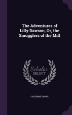 Adventures of Lilly Dawson, Or, the Smugglers of the Mill
